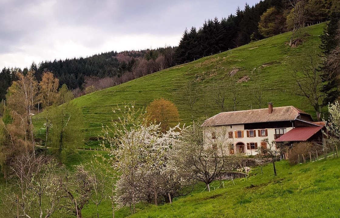 Photo of Outdoor in Sainte-Croix-aux-Mines