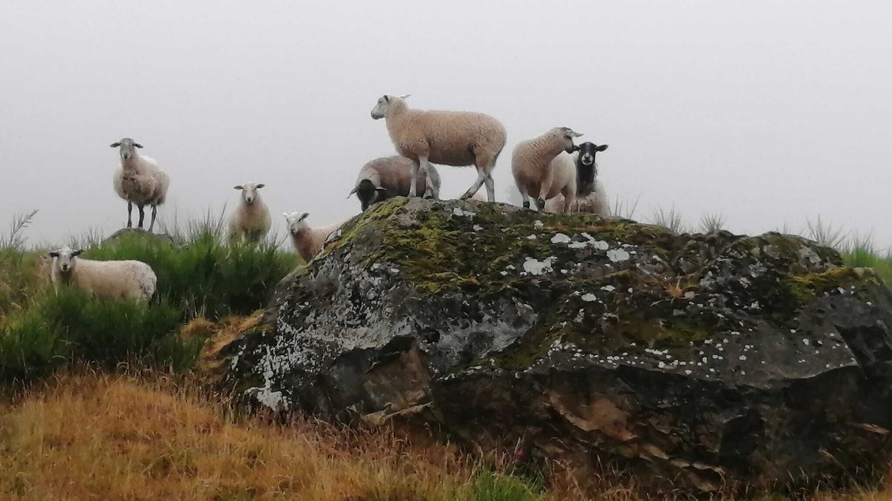 Photo of Others in Sainte-Croix-aux-Mines