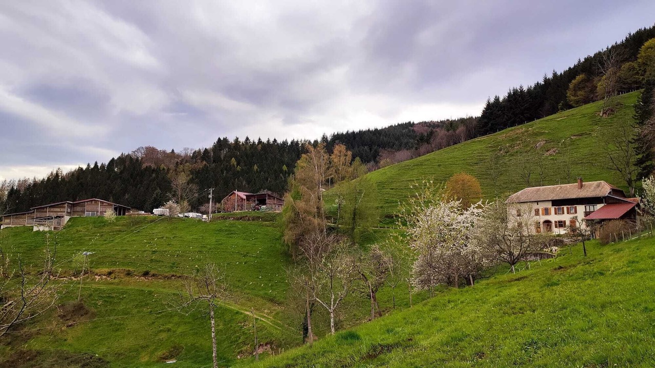 Photo of Outdoor in Sainte-Croix-aux-Mines