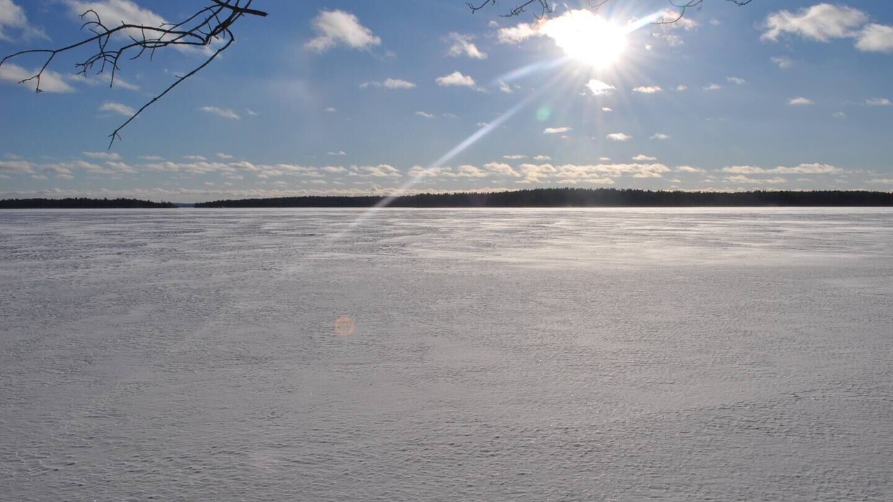 Photo of Others in White Lake