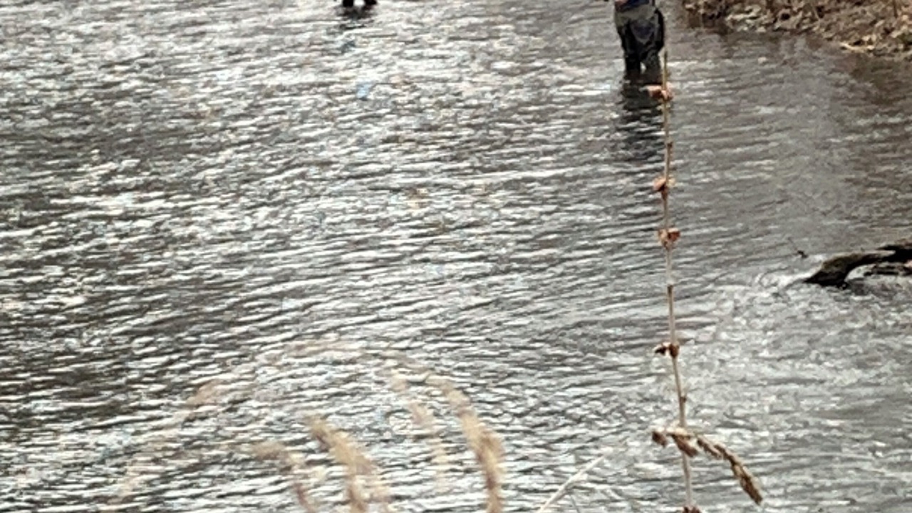 Photo of Others in Waynesboro
