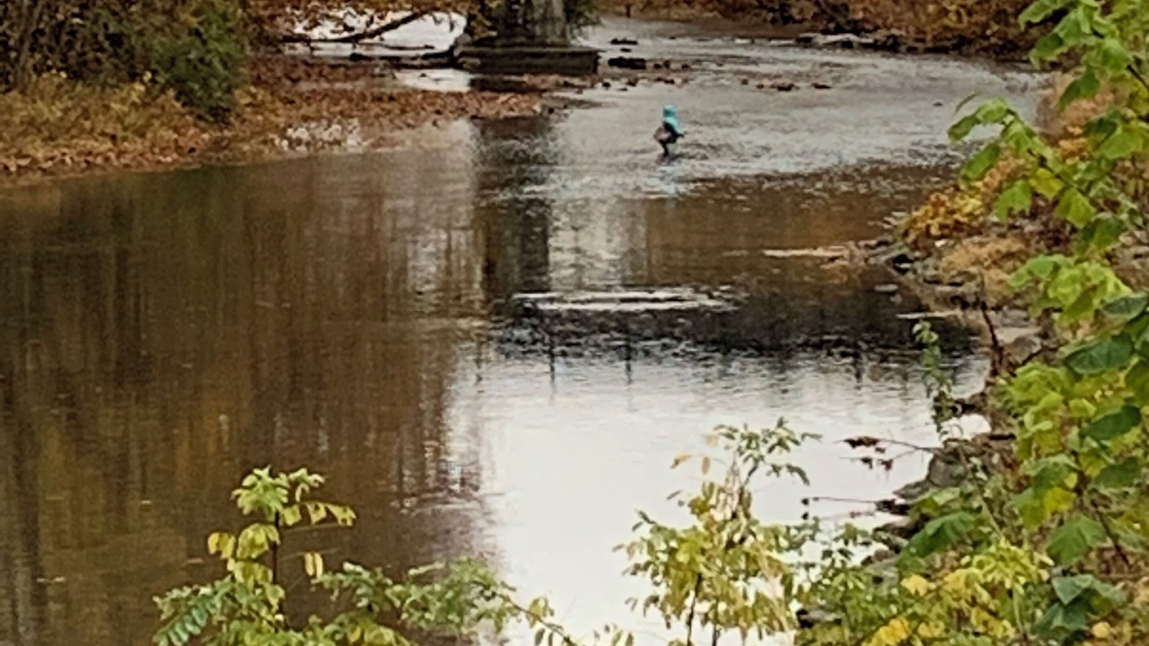 Photo of Others in Waynesboro