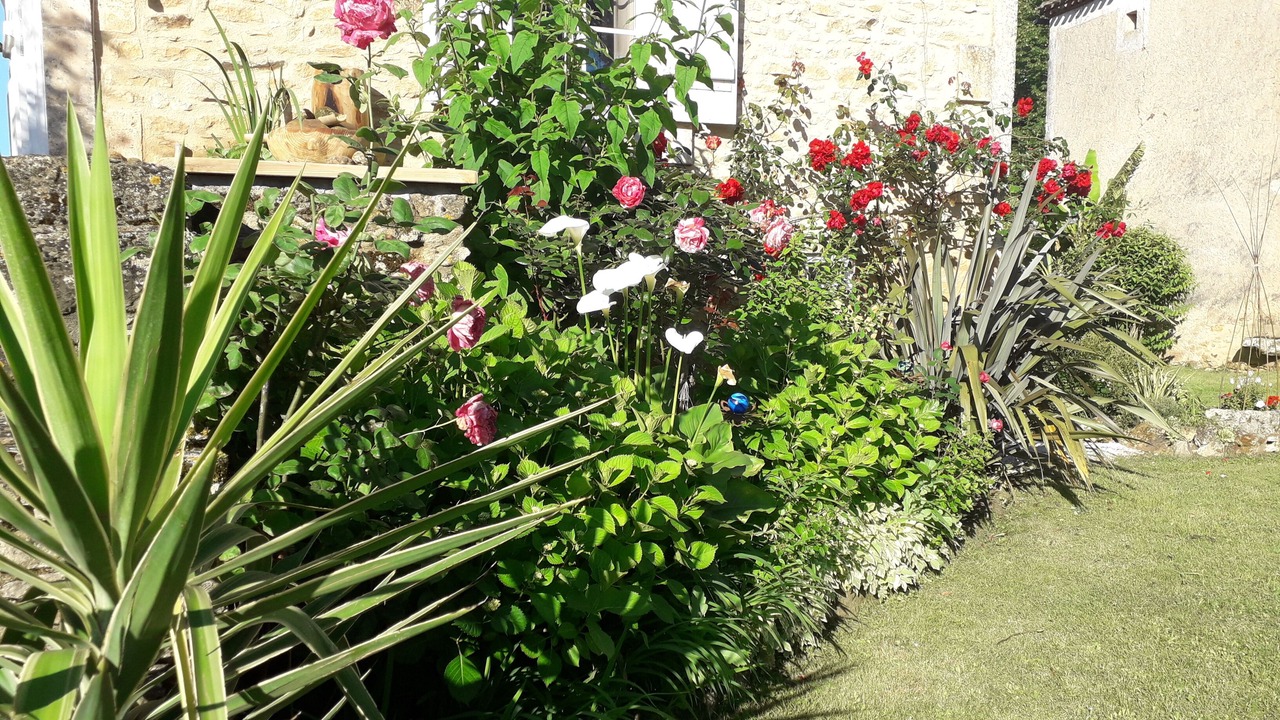 Photo of Outdoor in Sauveterre-la-Lemance