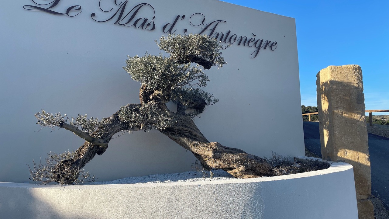 Photo of Outdoor in Montbazin