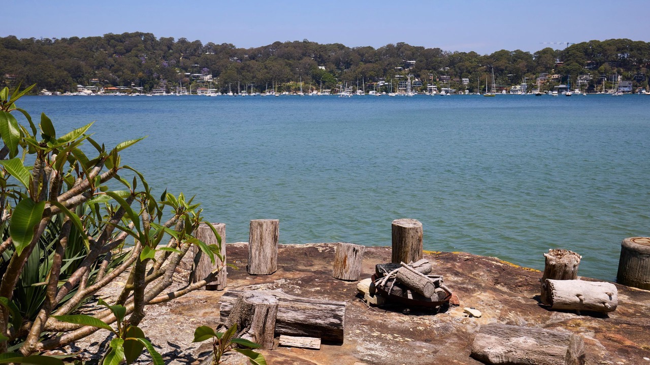 Photo of Others in Whale Beach