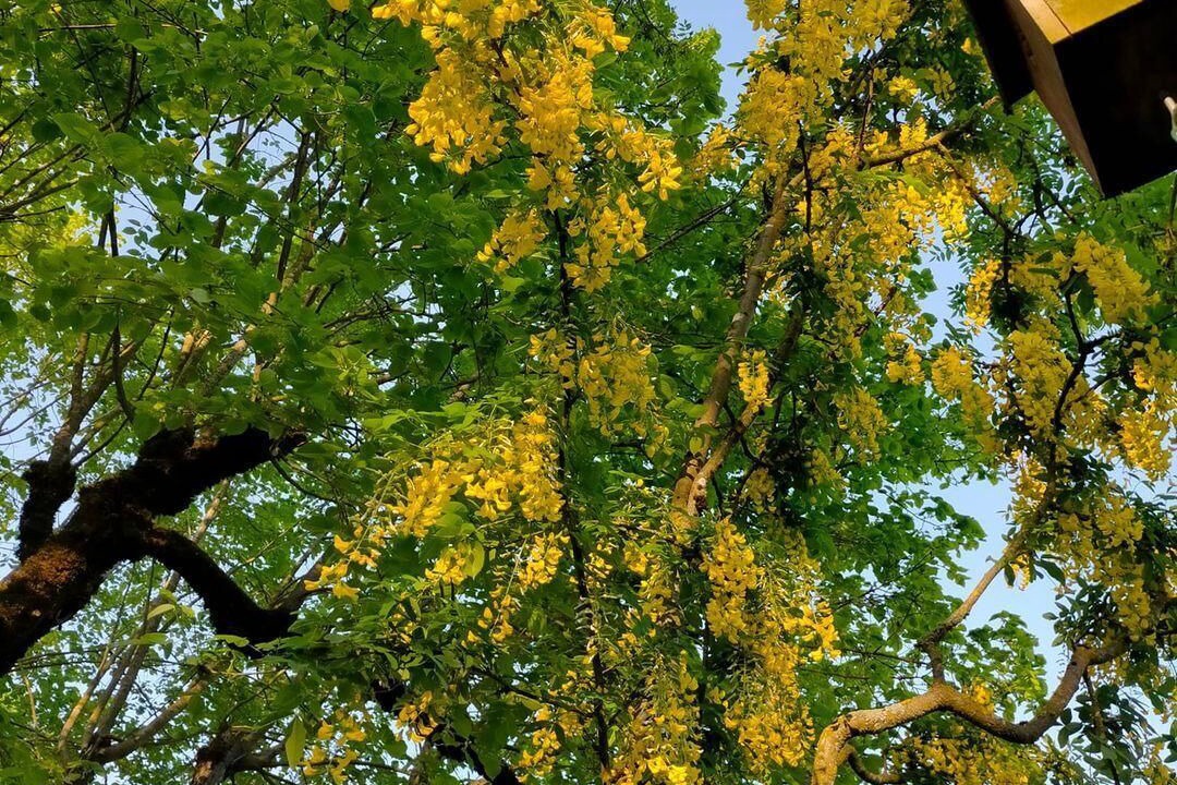 Photo of Outdoor in Mayrac