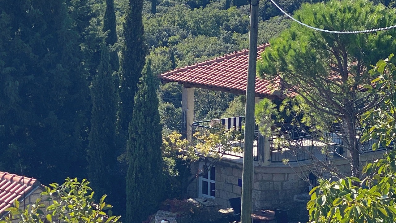 Photo of Others in Mocici