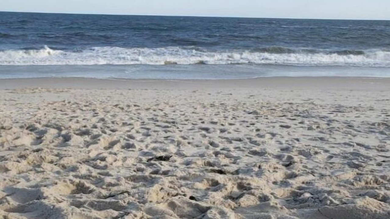 Photo of Others in Center Moriches