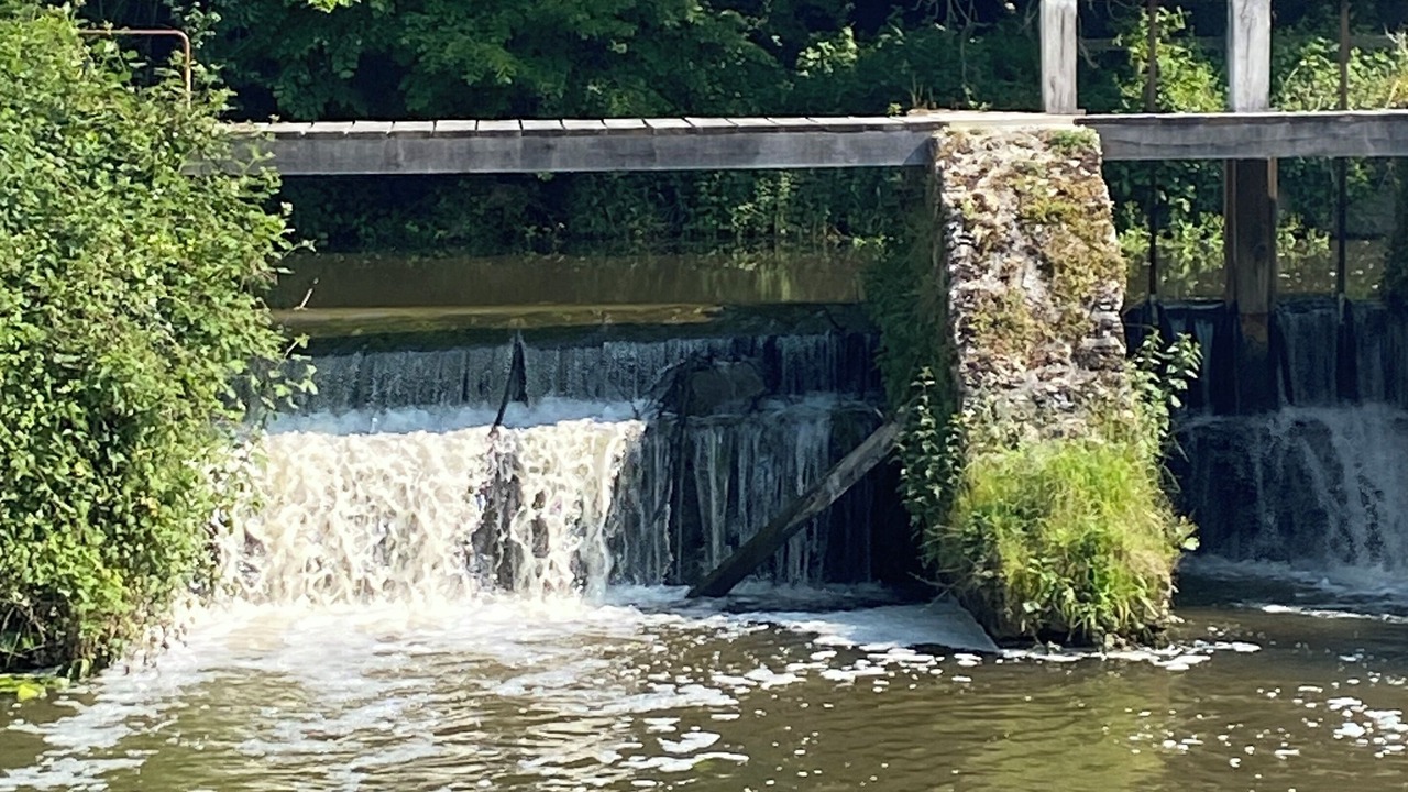 Photo of Others in Dampierre-en-Yvelines
