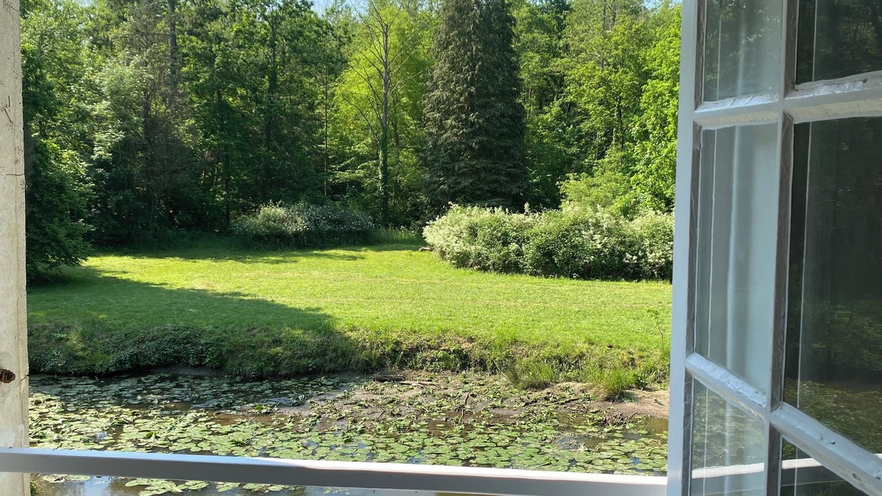 Photo of Outdoor in Dampierre-en-Yvelines