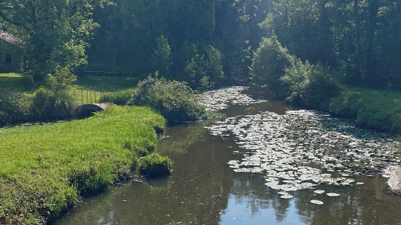 Photo of Outdoor in Dampierre-en-Yvelines