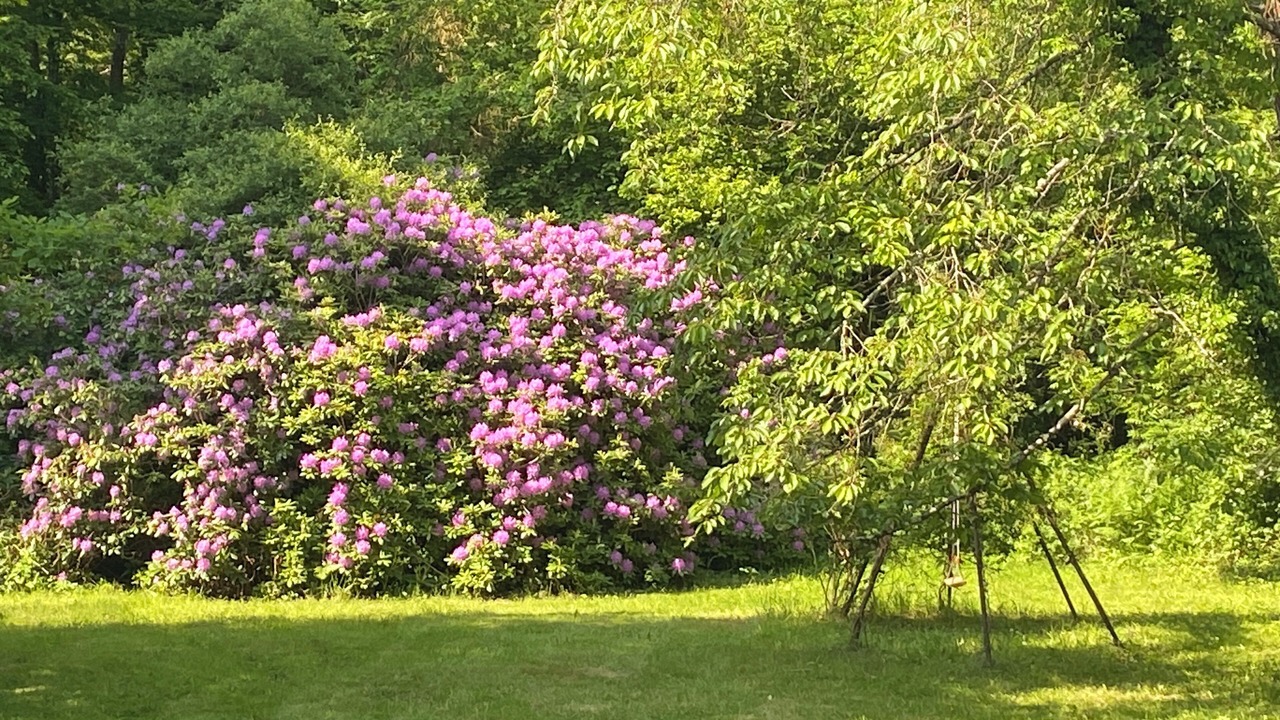Photo of Outdoor in Dampierre-en-Yvelines