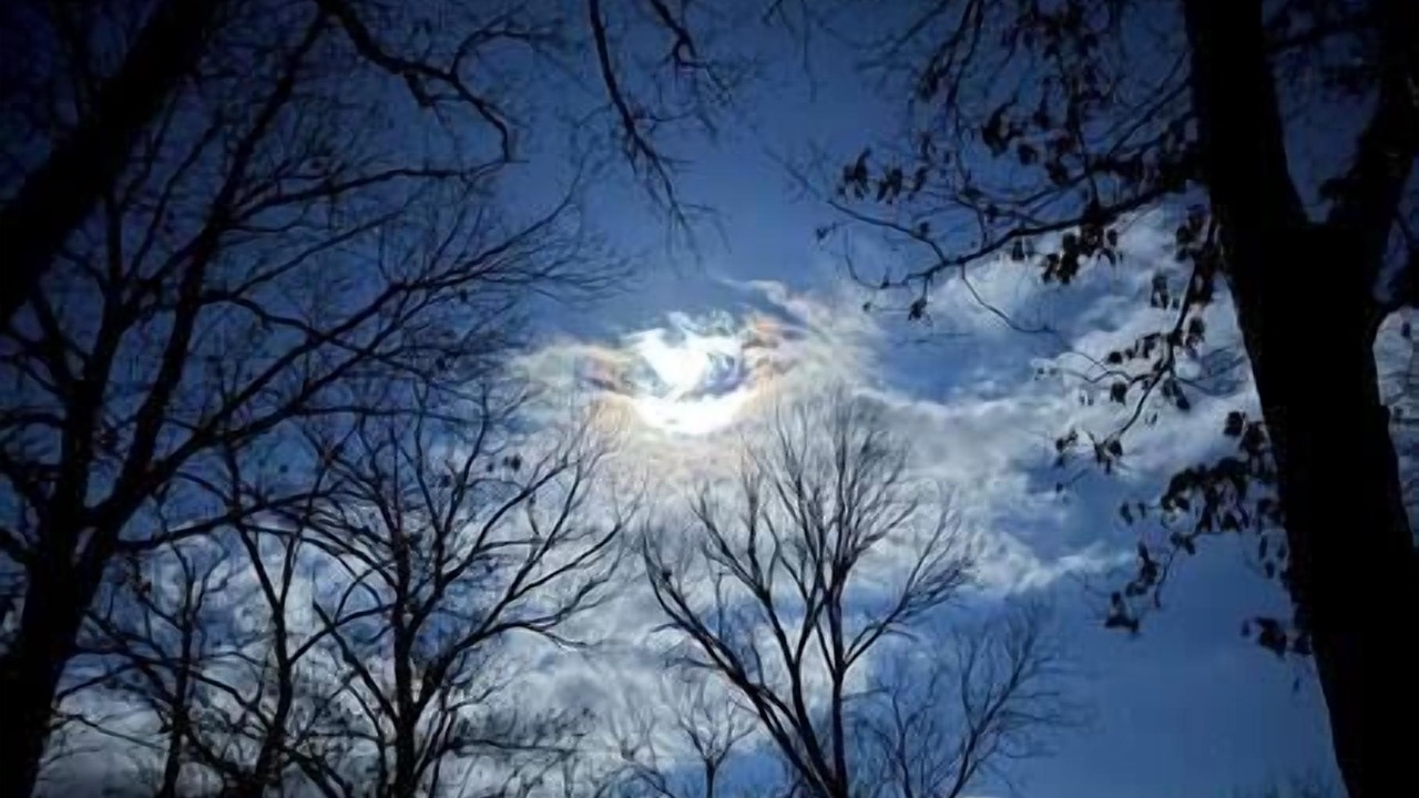 Photo of Others in Licking