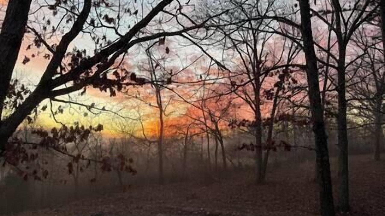 Photo of Others in Licking