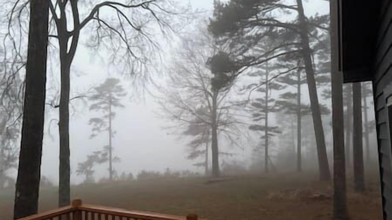 Photo of Outdoor in Licking