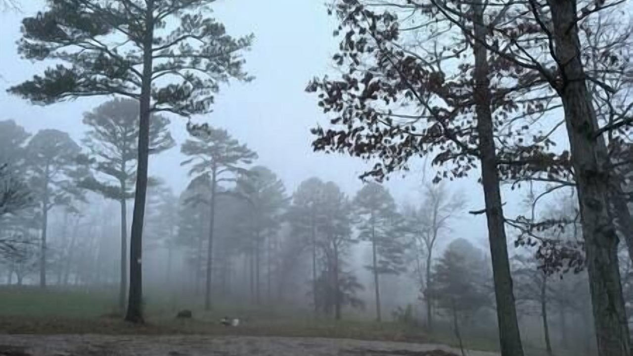 Photo of Others in Licking