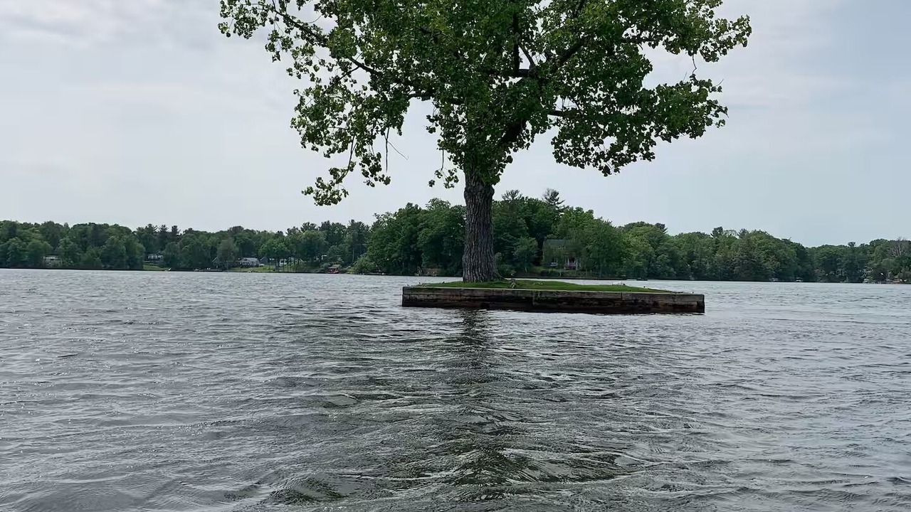 Photo of Others in North Chatham