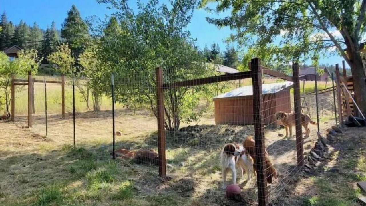Photo of Outdoor in Sky Meadows Ranch