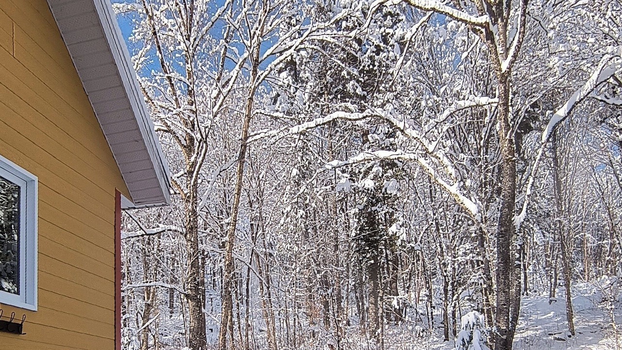 Photo of Outdoor in Saint-Raymond