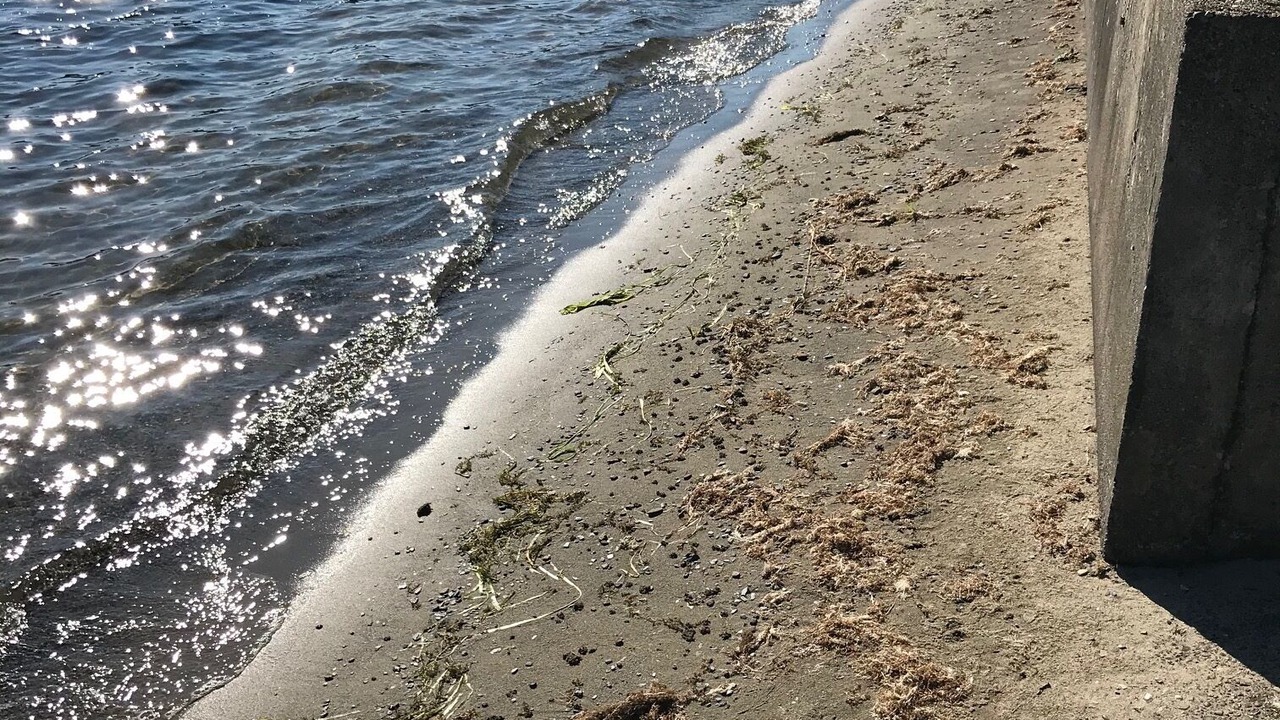 Photo of Others in Bellingham