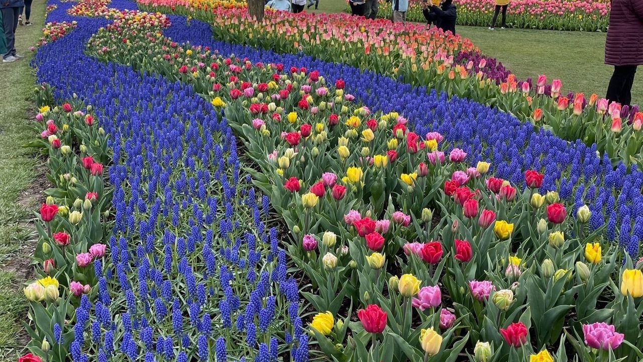 Photo of Others in Bellingham