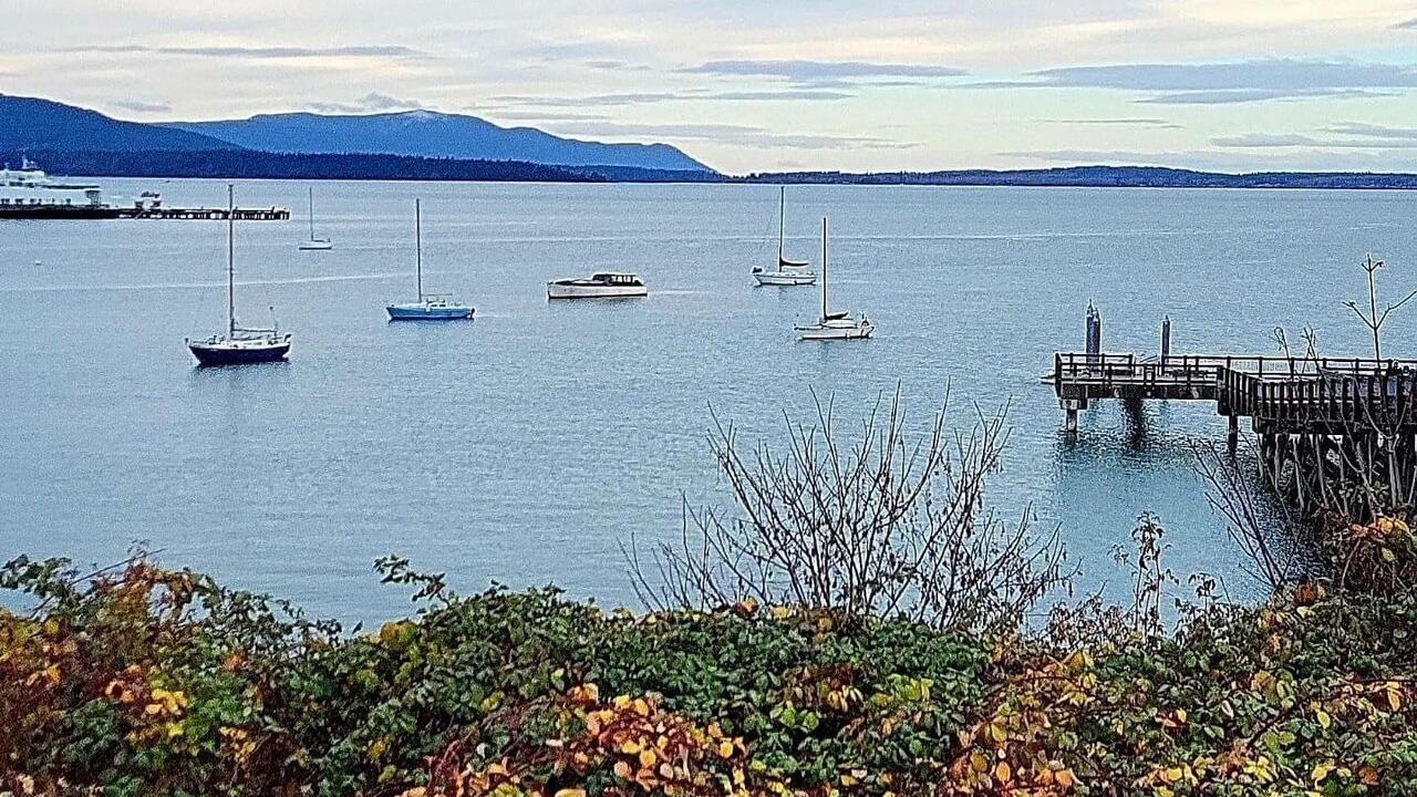 Photo of Others in Bellingham