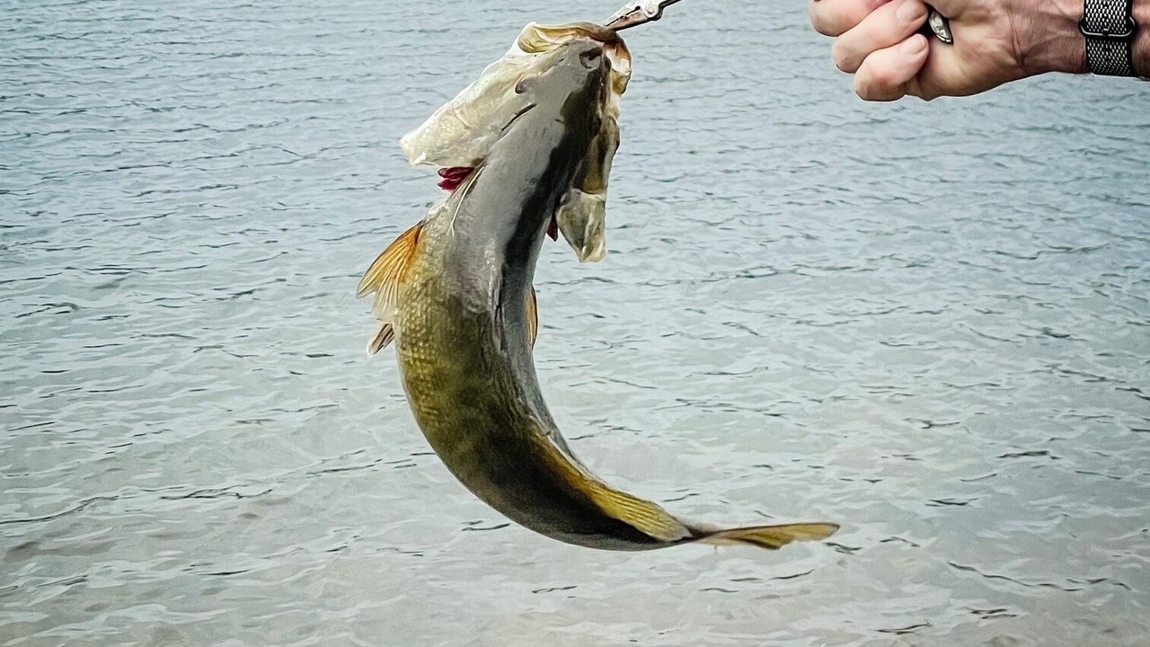 Photo of Outdoor in Bellingham