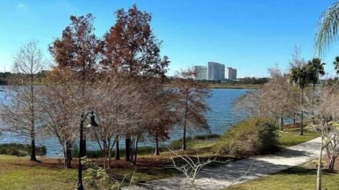 Photo of Outdoor in Orlando