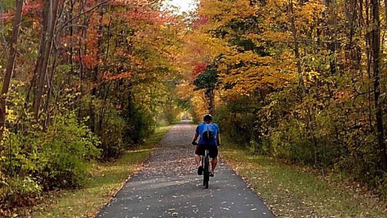 Photo of Others in New Lebanon