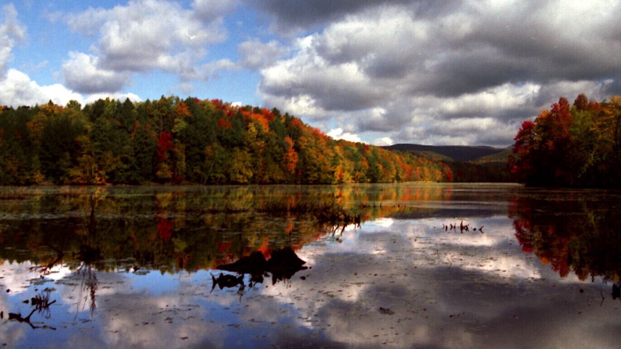 Photo of Outdoor in New Lebanon