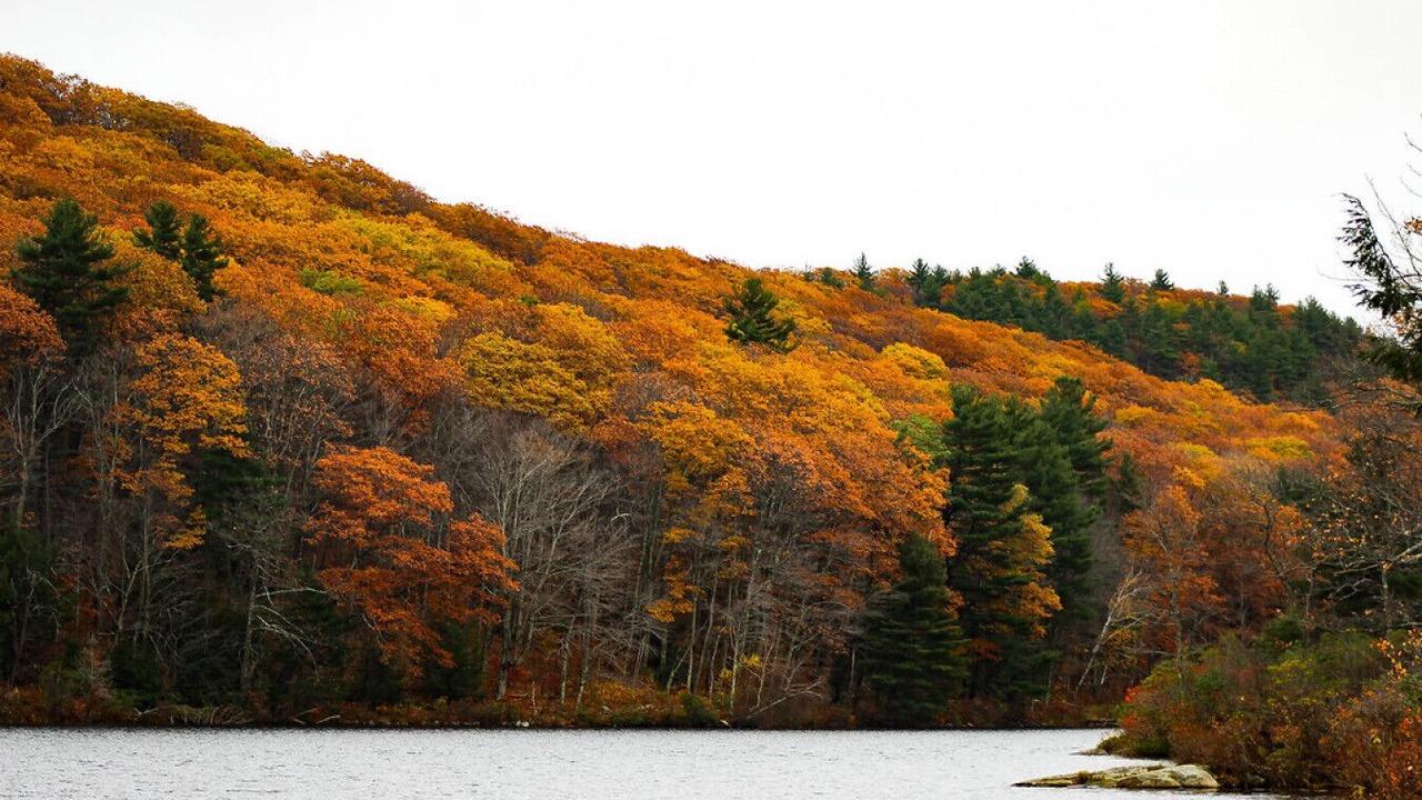 Photo of Outdoor in Monterey