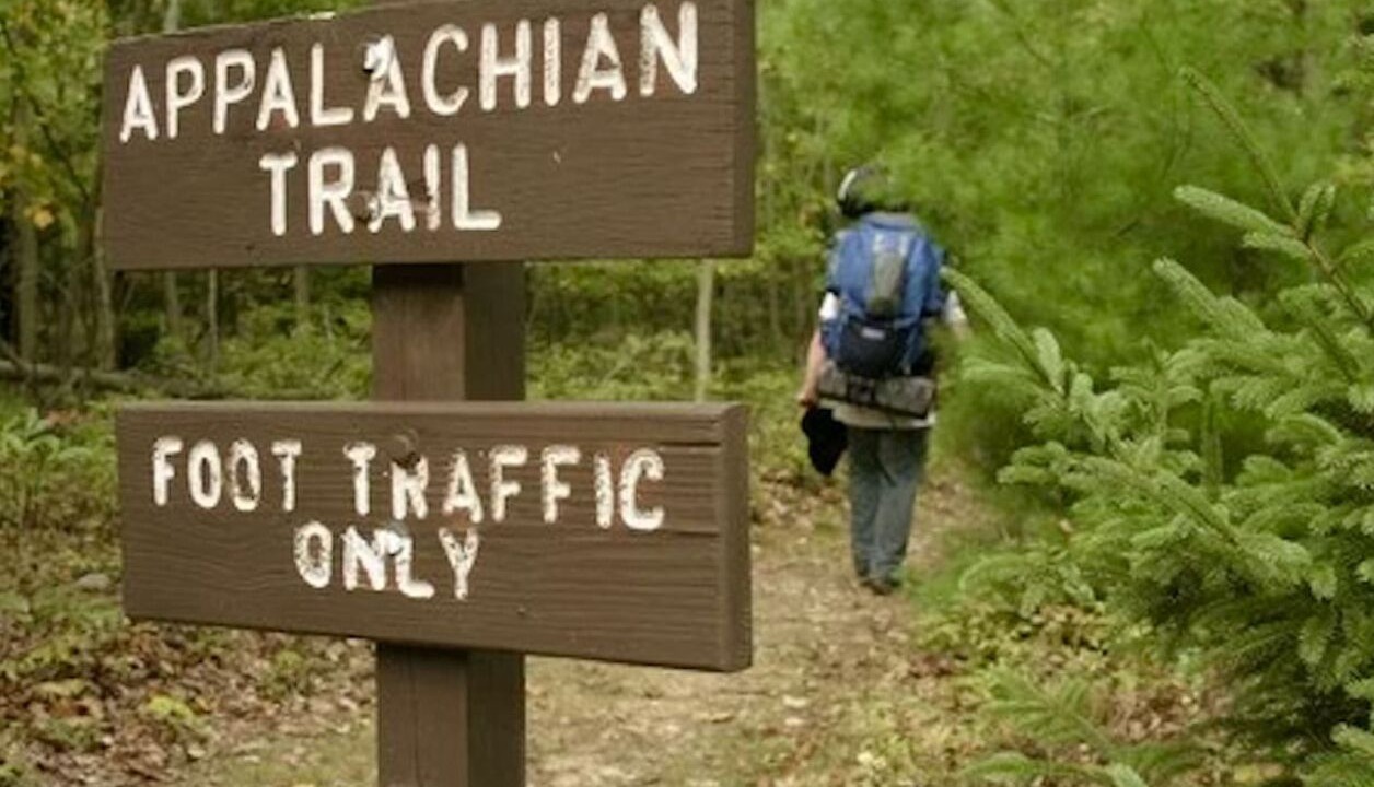 Photo of Others in Monterey