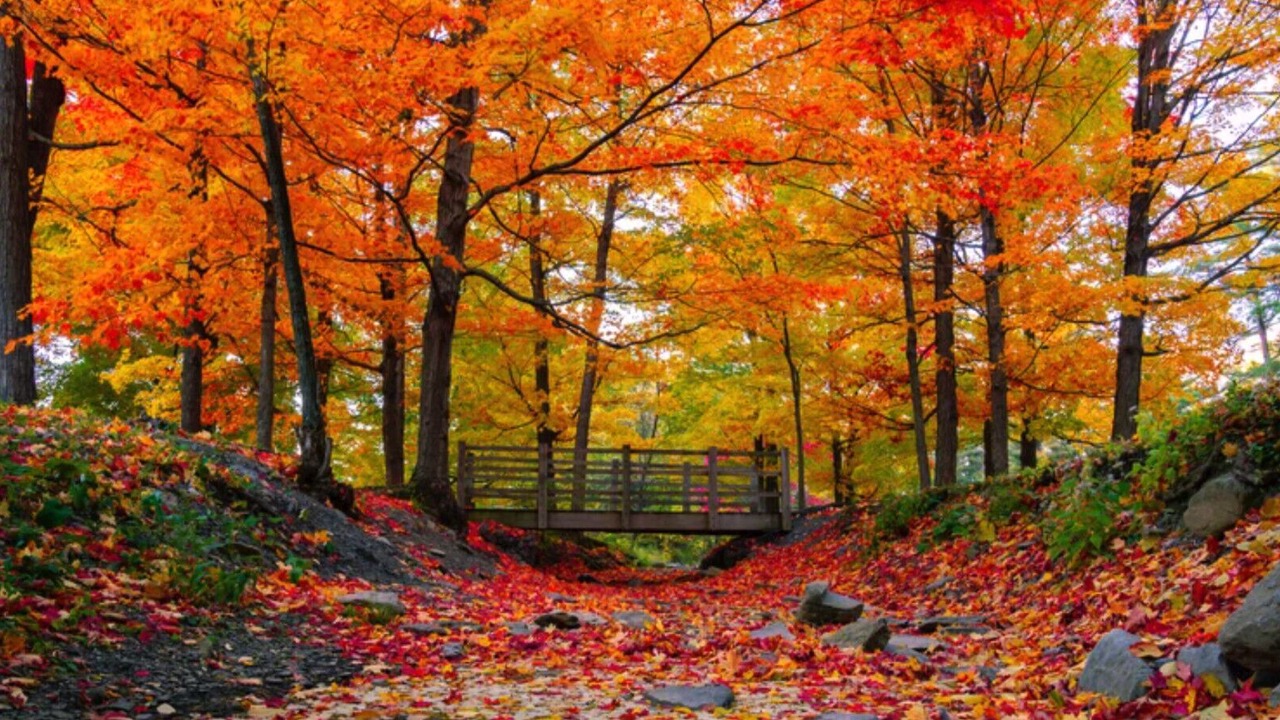 Photo of Outdoor in Monterey