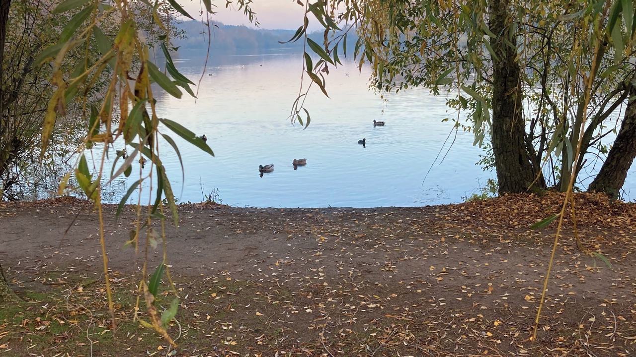 Photo of Others in Ranskill