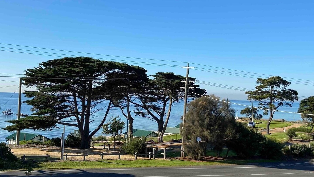 Photo of Others in Indented Head