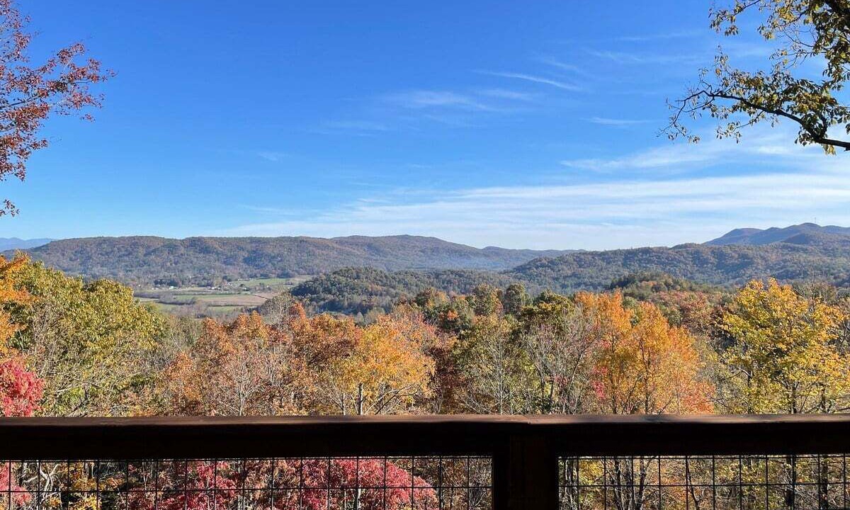 Photo of Others in Pisgah Forest