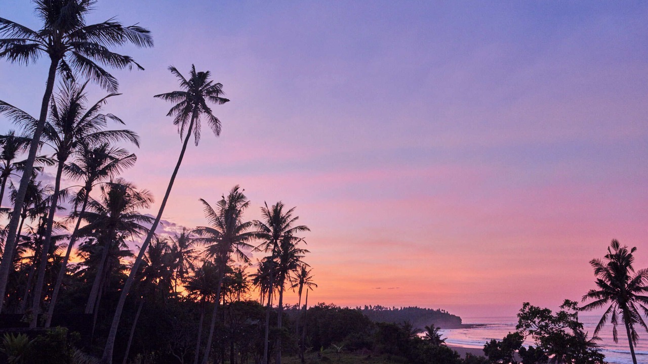 Photo of Others in West Selemadeg