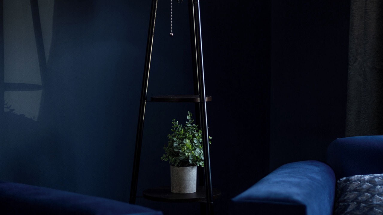 Photo of Others in Middleton