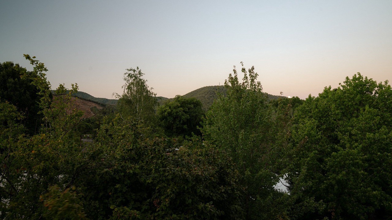 Photo of Others in Bright