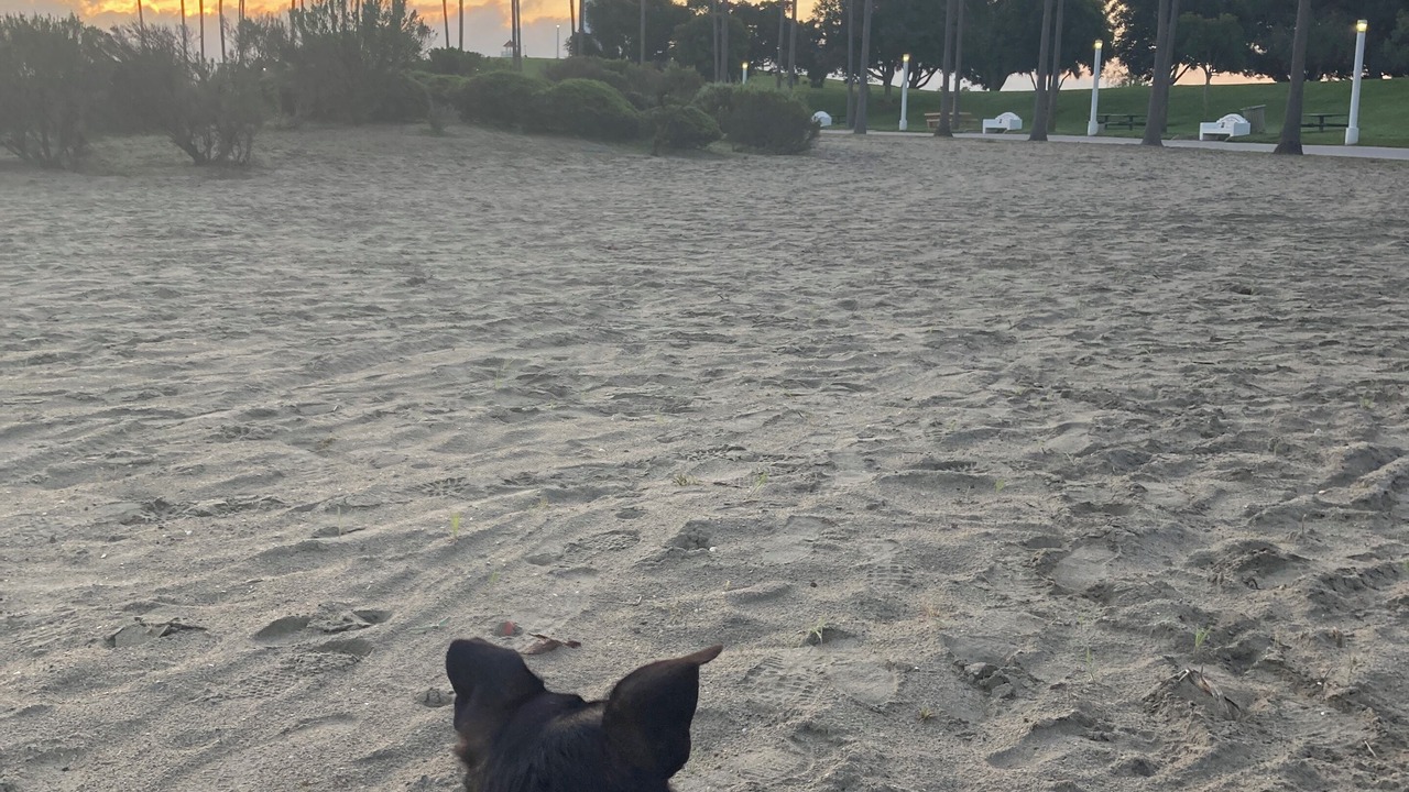 Photo of Others in Downtown Long Beach