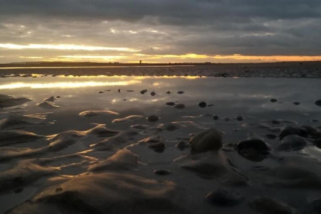 Photo of Others in Camber