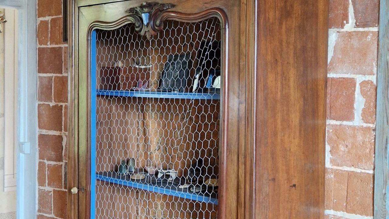 Photo of Others in Troo