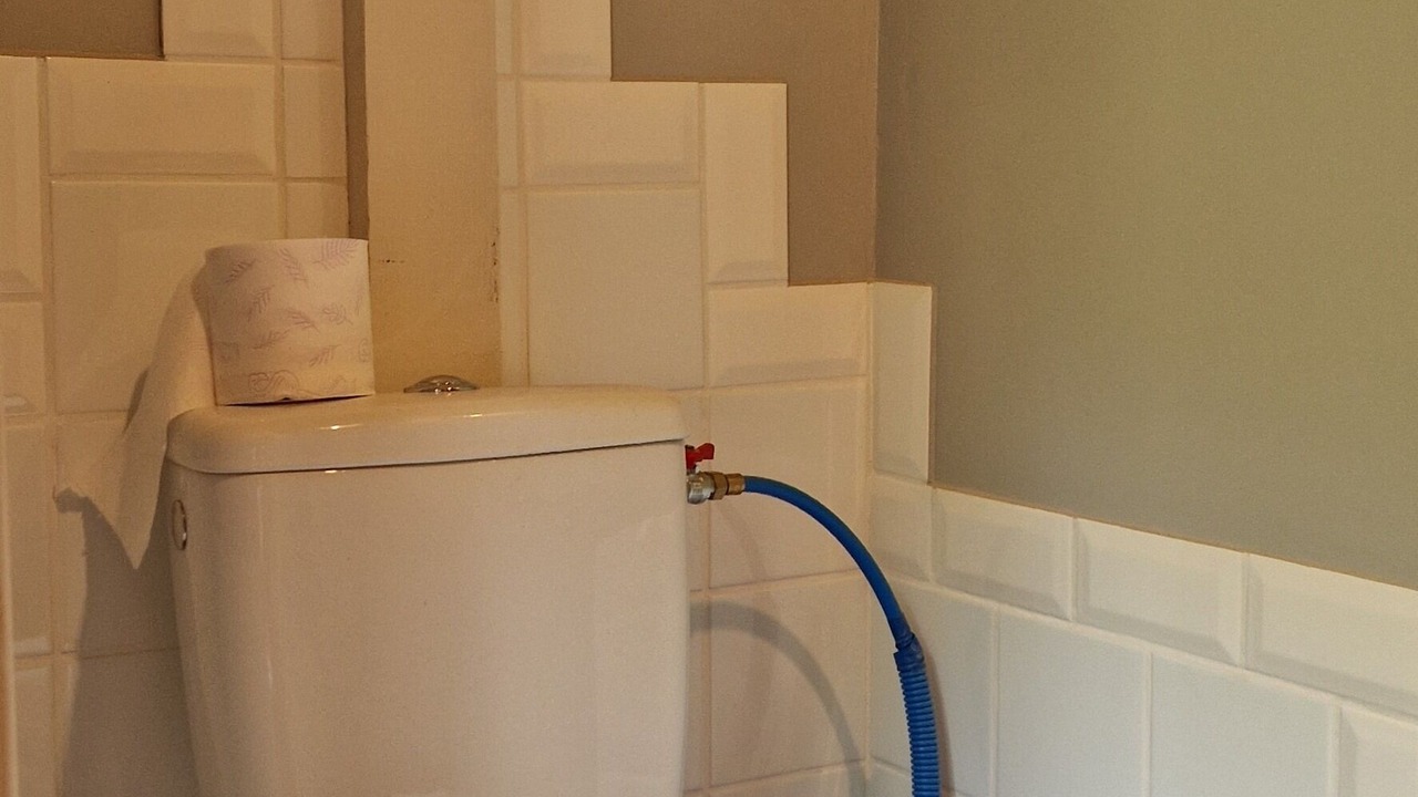 Photo of Bathroom in Troo