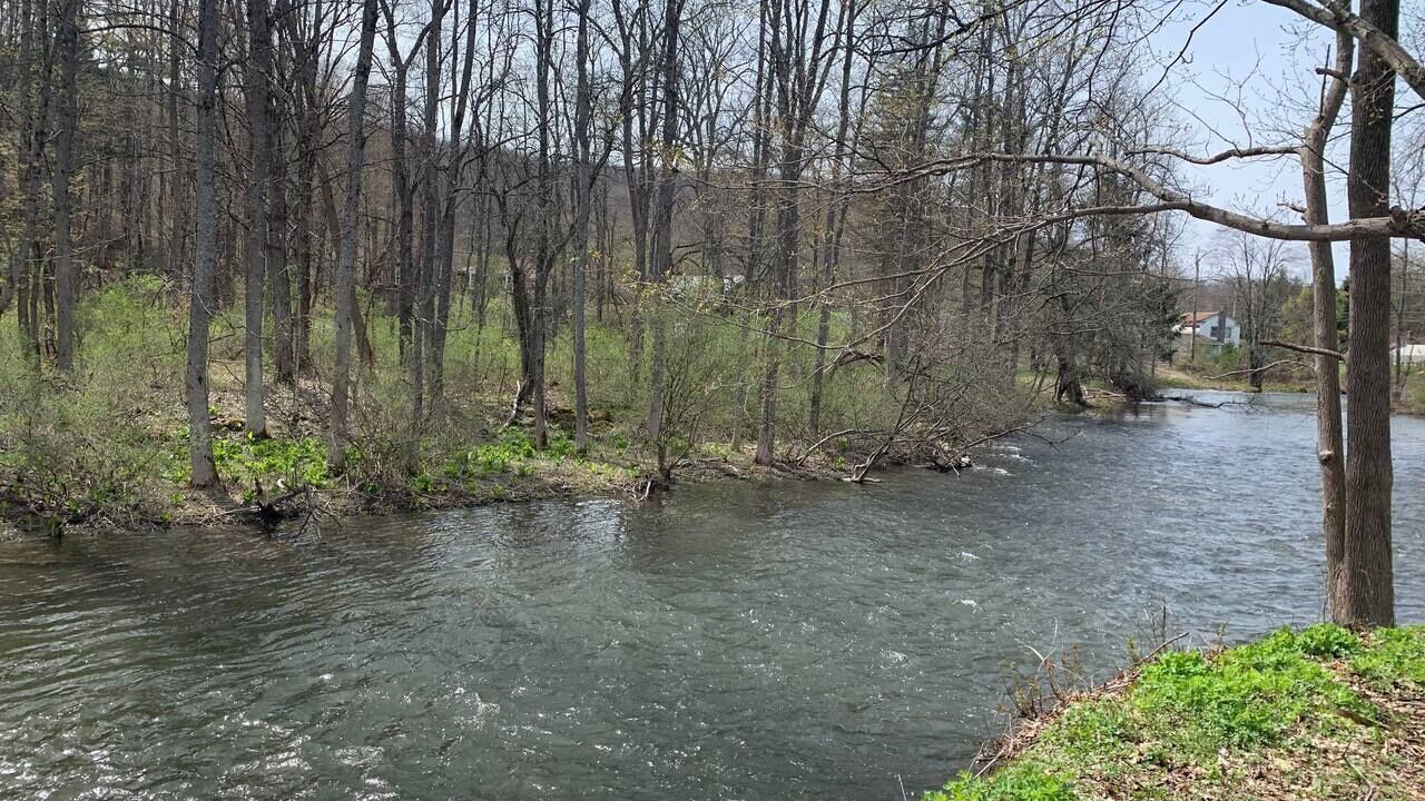 Photo of Others in Fly Creek