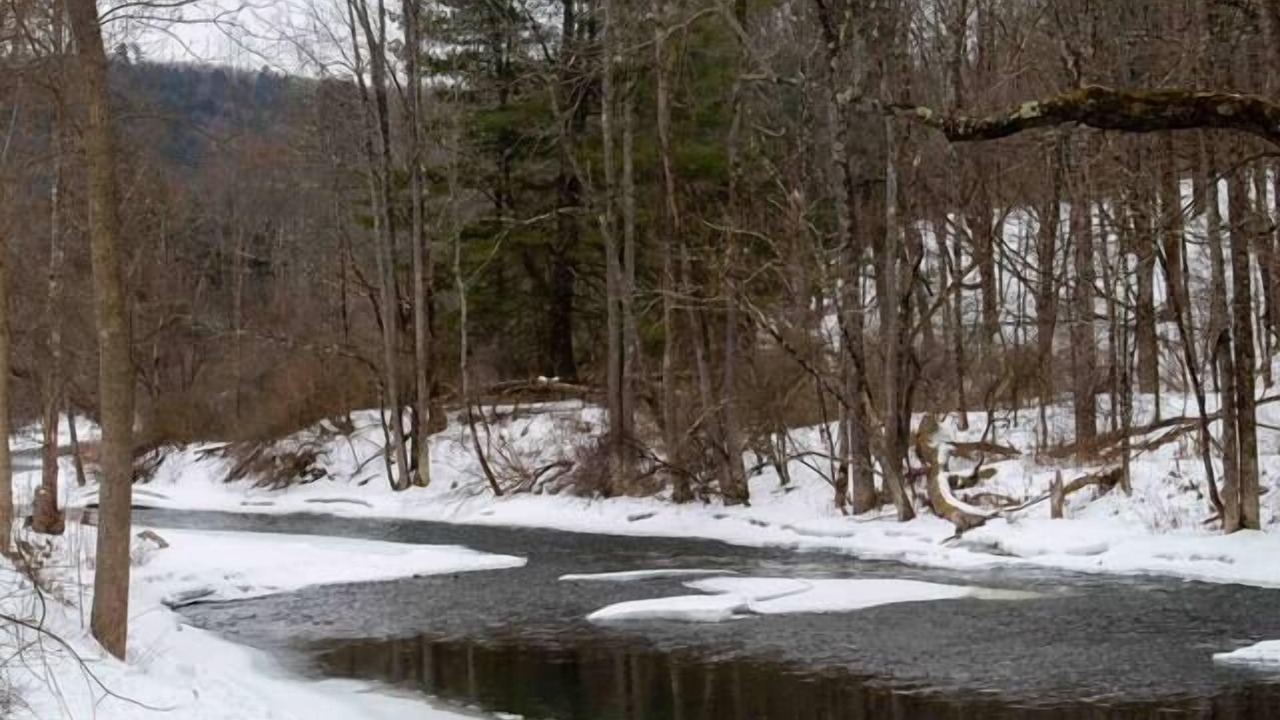Photo of Others in Fly Creek