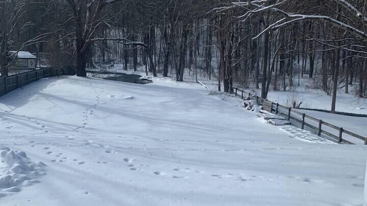 Photo of Outdoor in Fly Creek