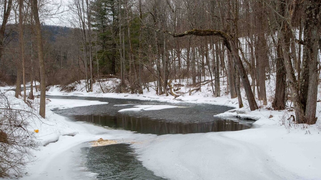 Photo of Others in Fly Creek