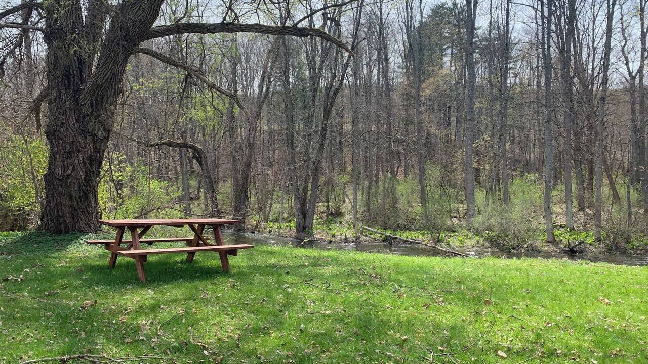 Photo of Outdoor in Fly Creek