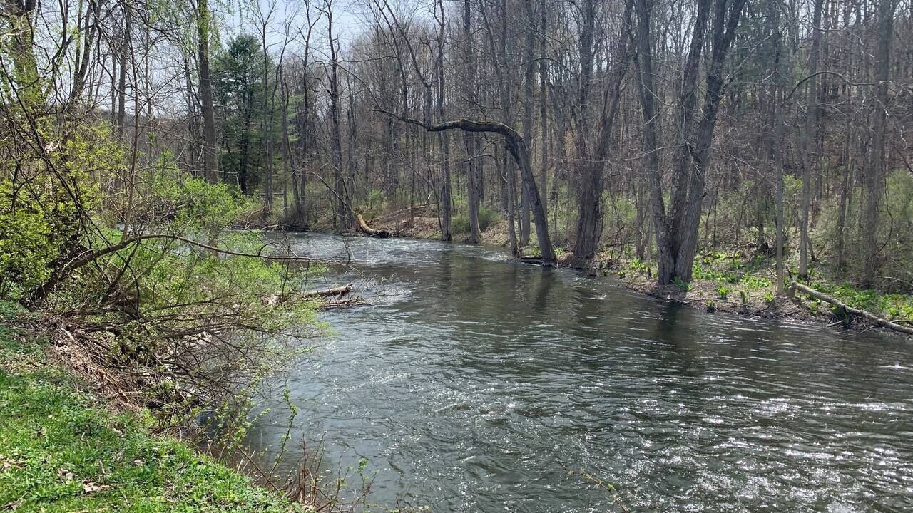 Photo of Others in Fly Creek