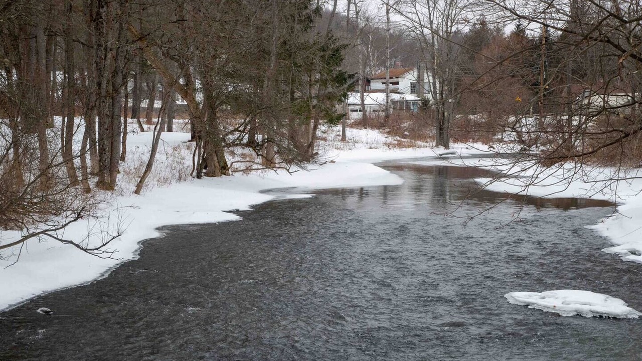 Photo of Others in Fly Creek